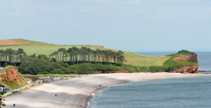 The Lawns B & B Budleigh Salterton Bagian luar foto