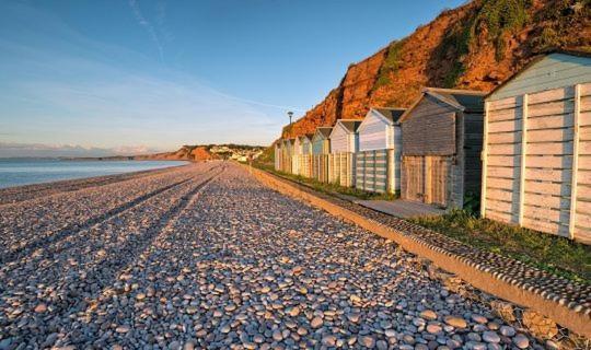 The Lawns B & B Budleigh Salterton Bagian luar foto